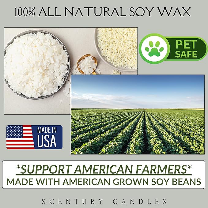 Butterscotch & Bourbon Scented Candle, Many Scents to Choose from, All Natural Non-Toxic Soy Wax, Handmade in The USA (Butterscotch & Bourbon)