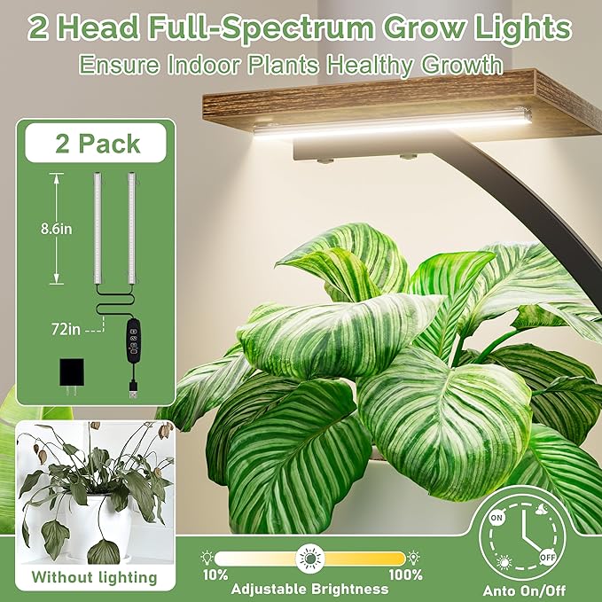 Plant Stand Indoor with Grow Lights - 6 Tiered Plant Shelf Indoor, 49" Tall Corner Plant Stands for Indoor Plants, Lighted Flower-Shaped Holder Stand, Display Rack for Living Room, Patio（Black)