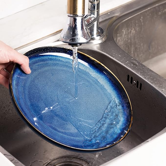 Ceramic dinner plates set of 4, Large Dinnerware Plates & Salad plates for party and wedding, Microwave safe porcelain plates set, 10 Inch