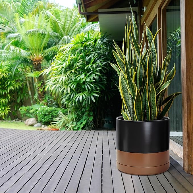 D'vine Dev 14 Inch Ceramic Planter Pot with Drainage Hole and Saucer, Indoor Cylinder Round Planter Pot, Black/Speckled Tan, 94-O-G-7