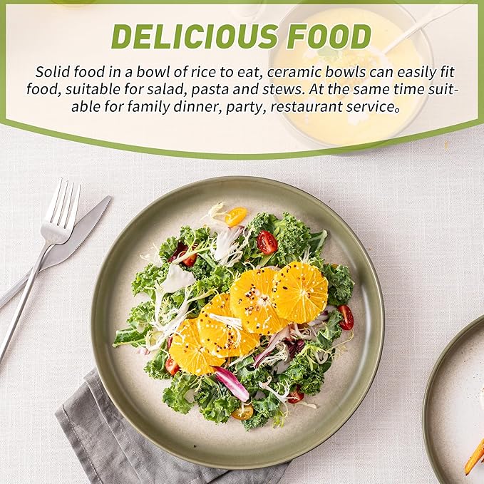 12 PCS Stoneware Dinnerware Sets, Plates and Bowls Set for 4, Reactive Glaze Dishes Set for Kitchen Dinning, Microwave & Dishwasher Safe, Lichen Green