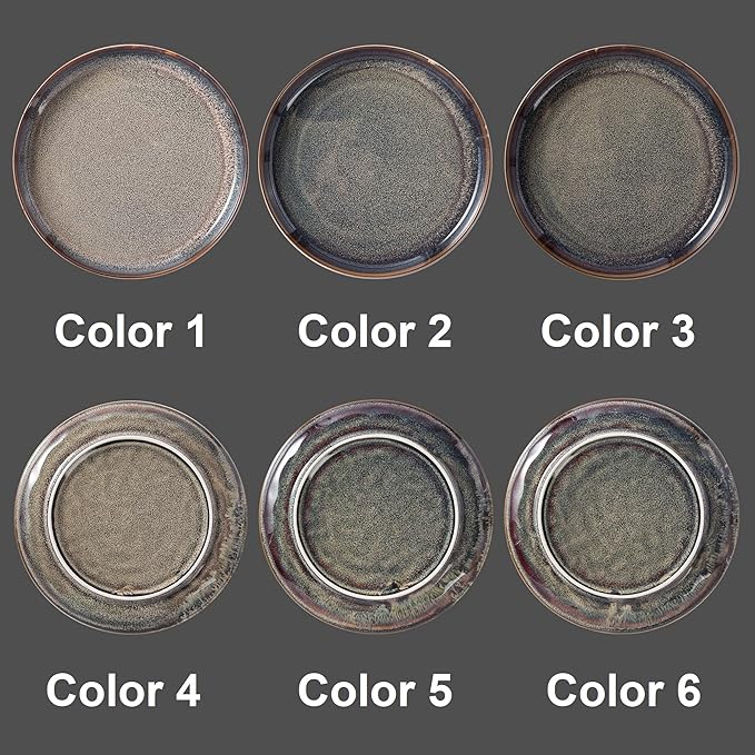 Ceramic dinner plates set of 4, Large Dinnerware Plates & Salad plates for party and wedding, Microwave safe porcelain plates set, 10 Inch