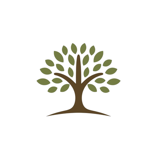 Fig tree on the terrace 