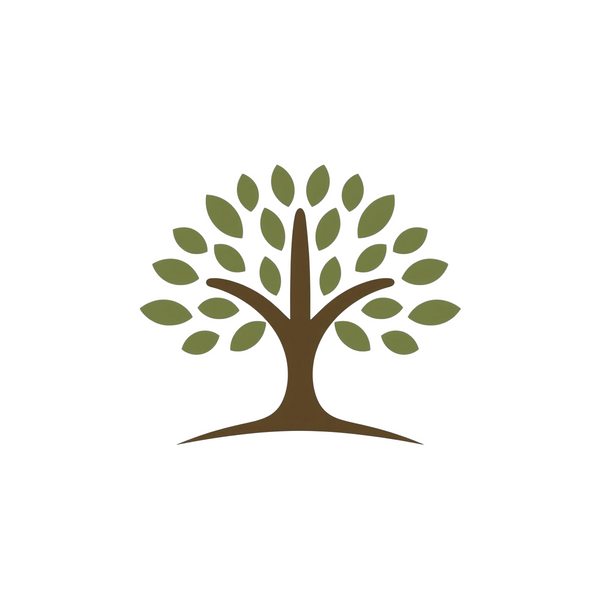 Fig tree on the terrace 